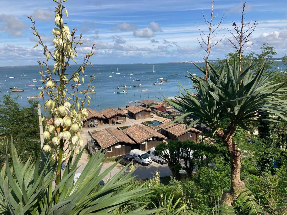 Village Seasonova Bassin D'Arcachon Audenge Eksteriør bilde